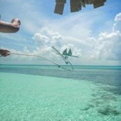 Diane Wyatt's photo