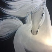Sylvie Bigeault's photo