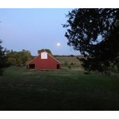 Alexandra McMullen's photo