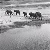 Dana Casciato's photo