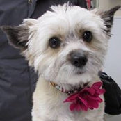 Erin Koehne's photo