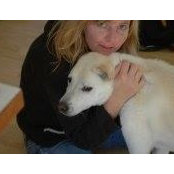 Crystal Anderson's photo
