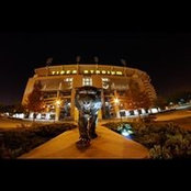 Ronda Way's photo