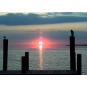 Steve Mintun's photo