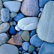 Mandy Neudecker's photo