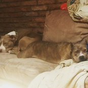 Britany Mathews's photo