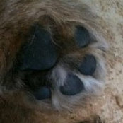 Tara Denning's photo