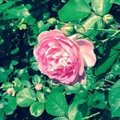 Foto von Lisa Griffin
