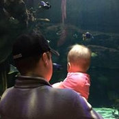 Brian Anderson's photo