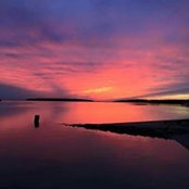 Elizabeth Currier's photo