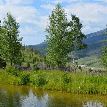 Design - Build Mountain Ranch Landscape in Summit County, CO