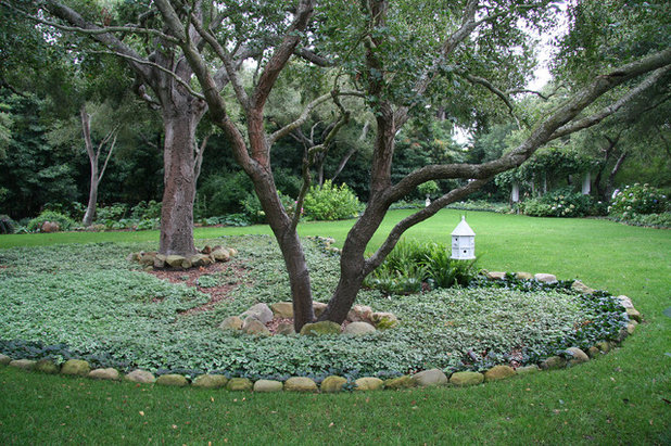 Классический Сад by Donna Lynn - Landscape Designer