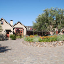 Shannon Drive