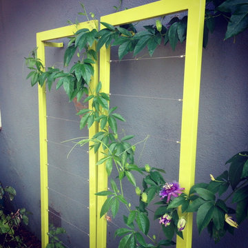 Ina Wall Trellis by Terra Trellis