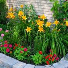 5 Ways to Spruce up Your Yard this Spring