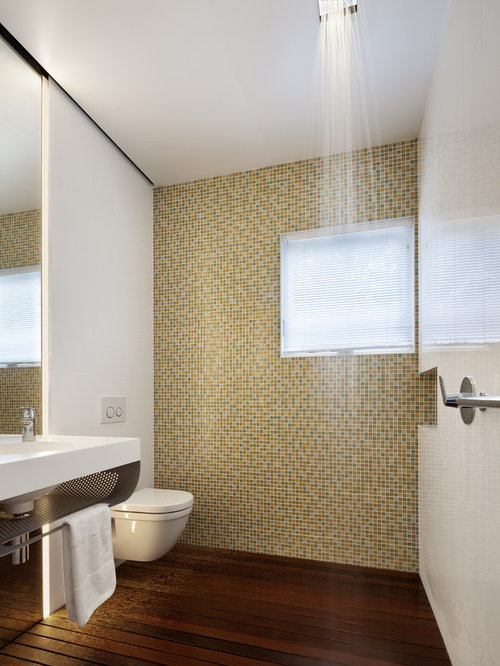 Toilet In Shower Design Ideas & Remodel Pictures Houzz