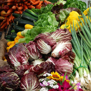 F A R M - Farmers Markets + Roadside Stands