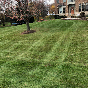 Fall Yard Cleanup, Leaf Removal, and Mowing — Before & After