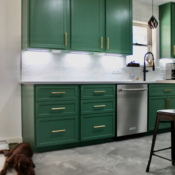 Spring Branch Remodel