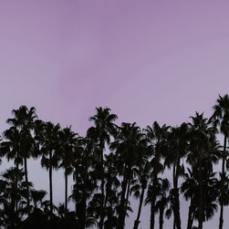 Riviera Daydream, Dusk - Wallpaper