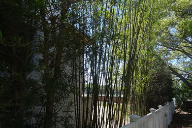 Design ideas for a mid-sized tropical partial sun side yard landscaping in Tampa.