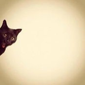 Nicole Groote's photo