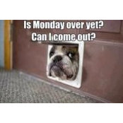 Sharon Grice's photo