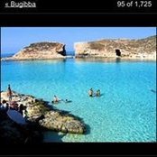 David Belli's photo