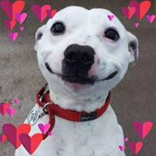 Lucy Capuano's photo