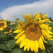 Marilyn Bilyeu's photo
