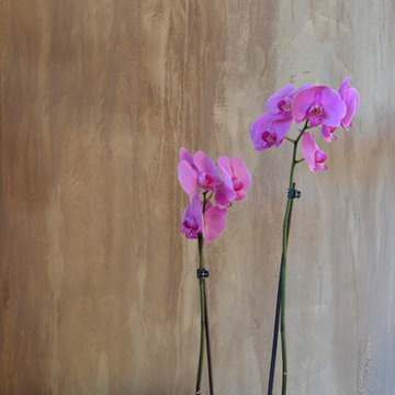 Transformation of a beach cottage