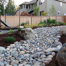 DRY RIVER BED