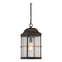Outdoor Pendant Light