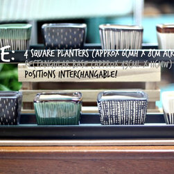 Teachers Day Specials - Indoor Pots And Planters