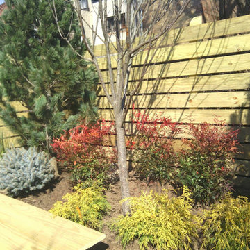Town House Landscape Design and Renovation