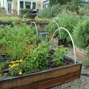 Italianate Style B Street Water Wise & Vegetable Garden