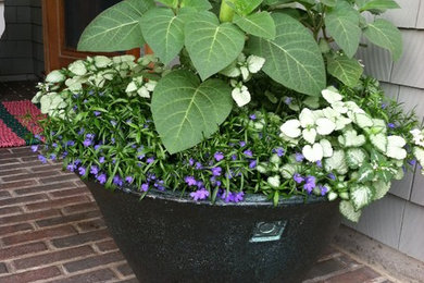 This is an example of a contemporary landscaping in Portland Maine.