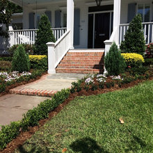 Front Yard -landscape