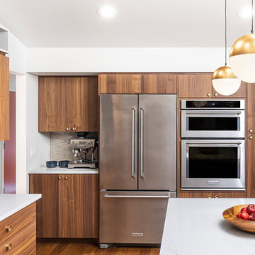Cohesive Mid-Century Modern Interior Remodel in Ann Arbor, Michigan