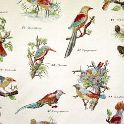 Bird species fabric document script nature print - Fabric