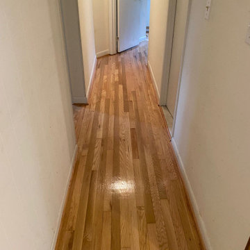 Beltsville Red Oak Hardwood Flooring Installation & Refinish Hardwood Bay Window