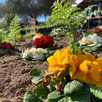 Skysong Culinary Gardens By Agriscaping