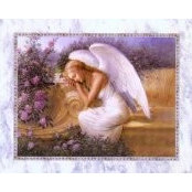 Anna Gaglia's photo