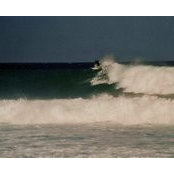 Lewis Resnick's photo