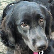 Karin Willison's photo