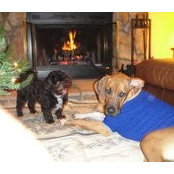 Maureen Lacorte's photo