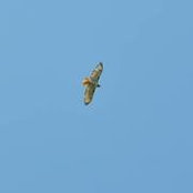 Jeff Nash's photo