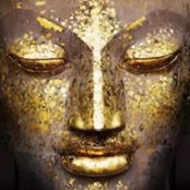 Steph Kyelberg's photo