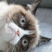Kim Trask's photo