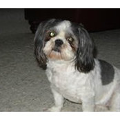 Barb Meyers's photo